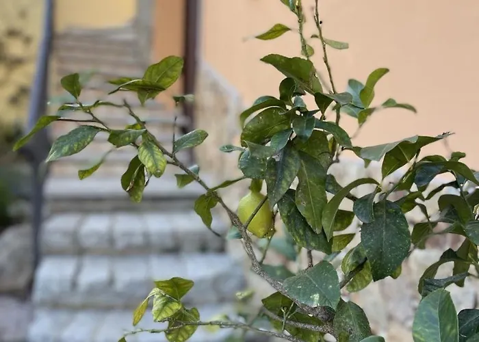 Casa Ada Дом отдыха *